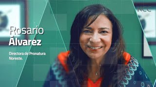 Reporte Climático 164 | ¿Cómo conservar el noreste mexicano?