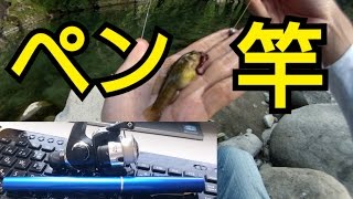 ペン竿で小物釣り！