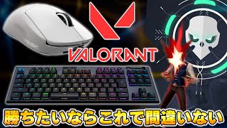 【VALORANT】プロゲーマーが使うおすすめゲーミングデバイスTOP3