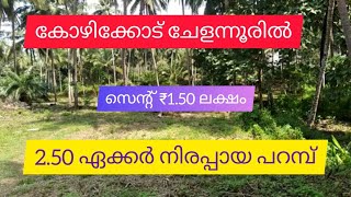 2.50 Acre Land For sale | നിരപ്പായ പറമ്പ് | Kozhikode | Chelannur (സെന്റ് 1.50 ലക്ഷം )