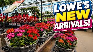 Lowe’s New Arrivals & Deals 🌿 Weekend Plants, Prices & Fresh Finds!