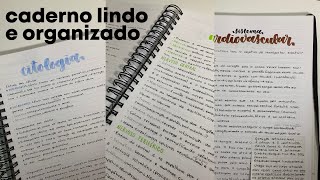 TENHA UM CADERNO BONITO E ORGANIZADO EM 2025