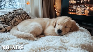 12 HOURS of Dog Calming Music🦮💖Dog Music Relax🐶🎵Anti Separation Anxiety Relief Music⭐Healing Music