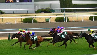 サウンドキアラ（松山騎手）が重賞連勝。四位騎手最後の重賞京都牝馬Sは11着。現地映像、京都競馬場。