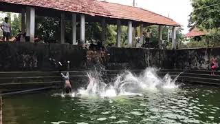 Swimming paridhabangal - Puttalai