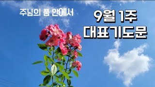 9월 1주 기도문🙏주일예배 대표기도문🌱[대표기도문모음]