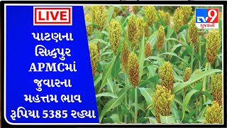 Mandi : પાટણના સિદ્ધપુર APMCમાં જુવારના મહત્તમ ભાવ રૂપિયા 5385 રહ્યા |  APMC |  GUJARAT | #tv9d