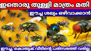 മഴക്കാലത്ത് ഈച്ചയെ വീട്ടമ്മമാർക്ക് ഉടനടി പമ്പ കടത്താം!how to get rid of house files remove tips