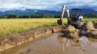 bund making with mini hitachi ||   Kerala paddy field || nenmara palakkad