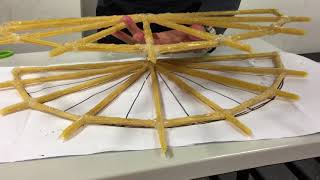 Fall 2017 Mech 270 Spaghetti Bridge Project
