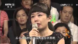 20150813 艺术人生  杨鸿年 下集