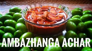 അമ്പഴങ്ങ അച്ചാർ |  Kerala style Ambazhanga Achar | Hog Plum Pickle recipe