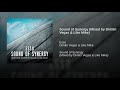 sound of synergy mixed by dimitri vegas u0026 like mike