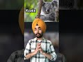 ਇਸ ਜਾਨਵਰ ਦਾ aadhaar card ਬੰਨ ਸਕਦਾ ਹੈ।🤯🤯 youtubeshorts facts aadharcard