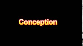 What Is The Definition Of Conception - Medical Dictionary Free Online