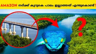 Amazon നദിക്ക് കുറുകെ പാലം ഇല്ലാത്തത് എന്തുകൊണ്ട്?|Why amazon river has no bridge?|#amazingfacts