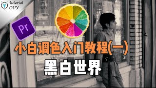 【光速學Pr|教學】新手調色入門（1）—— 黑白世界