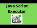 Javascript Executor in Selenium Web driver |execute javascript code in selenium