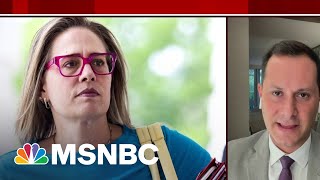 Sam Stein: There Is 'Emotional Commitment' To Climate, Tax Deal