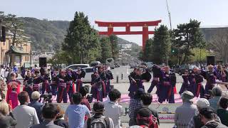 京都チーム「櫻嵐洛」　『烈華(ﾚｯｶ)』　京都さくらよさこい2023　神宮道南ステージ