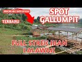 # MANCING SPOT GALUMPIT WARUNG JERUK PULL STREK ‼️ 18 MARET 2024