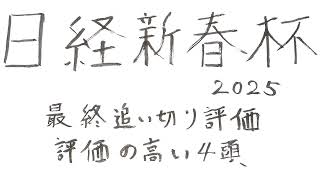 日経新春杯2025 GII 最終追い切り評価