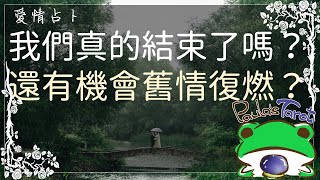 我們真的結束了嗎？還有機會舊情復燃嗎？🔮Paula 塔羅🔮tarot #字幕