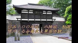 日本100名城 No.28 小諸城（懐古園）散策　信州蕎麦と草笛体体験