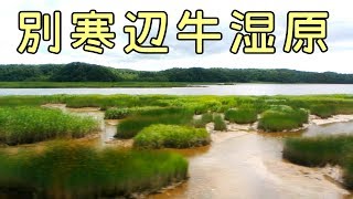 ゆっくり走ります。根室本線(花咲線)車窓 [別寒辺牛湿原・厚岸湖] 糸魚沢～厚岸駅間 キハ54形