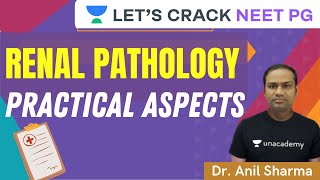 Practical Aspects of Renal Pathology | NEET PG 2021 | Dr. Anil Sharma