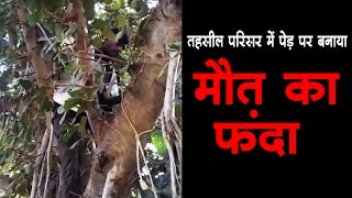 तहसील परिसर में पेड़ पर बनाया मौत का फंदा