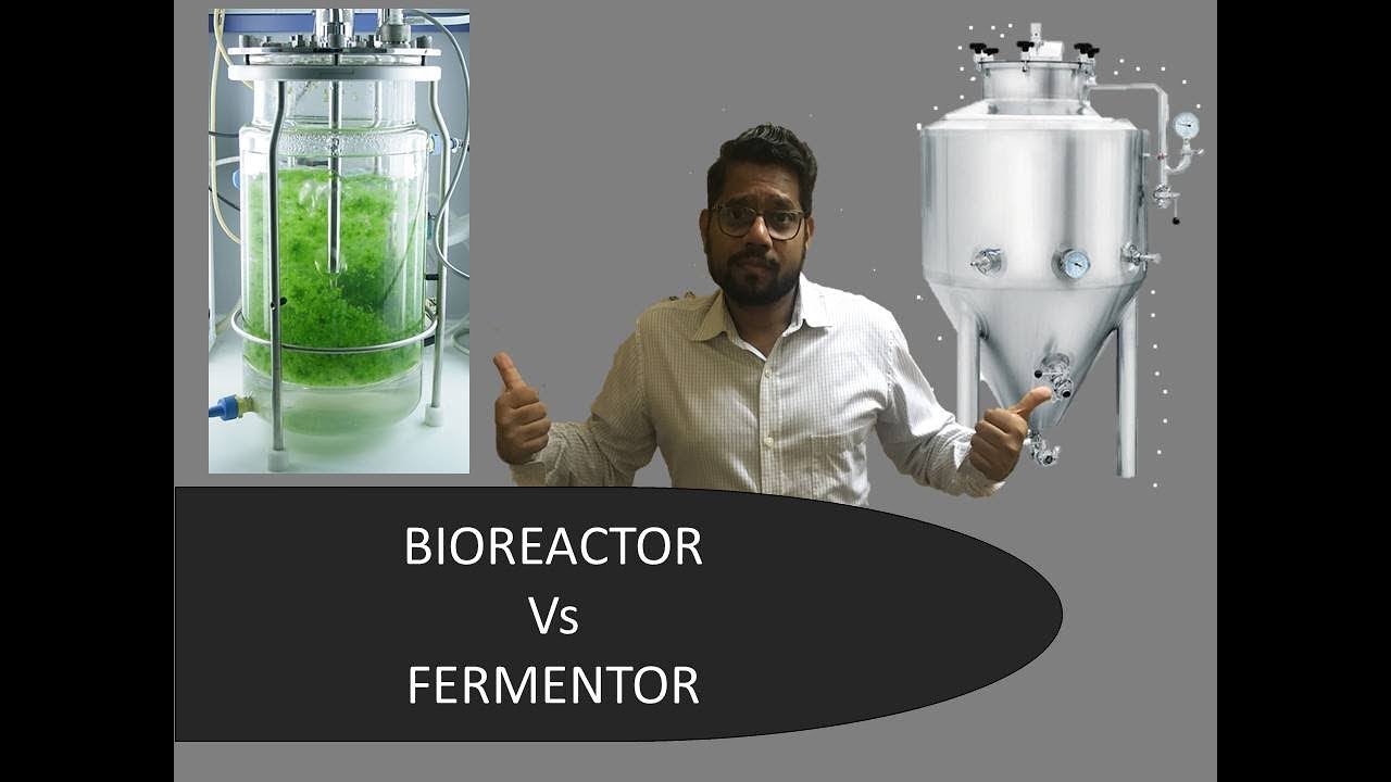 Fermentor And Bioreactor: What Is The Difference? - YouTube