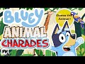 Bluey: Animal Charades | Can You Guess the Animal Disney Jr Challenge? | Kids Brain Break