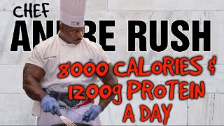 Chef Andre Rush - Eats 8000 Calories & 1200 Grams of Protein Per Day?