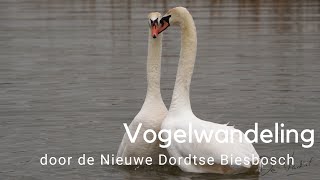 Vogelwandeling door de Nieuwe Dordtse Biesbosch #830