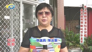 民議脈動 魚池鄉日月潭紅茶評鑑 品質提升帶動地方茶產業 (縣議員 陳淑惠、石慶龍)