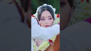 Dhanyawad Mayalu - Mahesh Kafle || Simpal Kharel || Prabhat Pal Thakuri|| New Nepali Song 2024