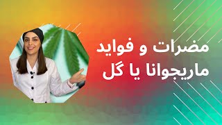 مضرات و فواید ماریجوانا،گل،وید،علف،گرس