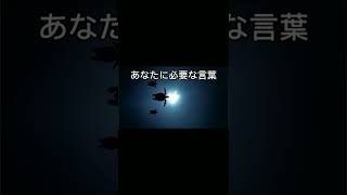 あなたに必要な言葉(気付き、意識、思考、行動、現実化、引き寄せ、波動) #shorts