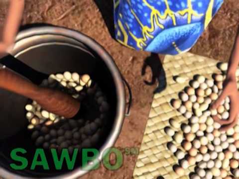 ORI Improved Method of Shea Butter Processing in Igbo (accent from Nigeria) ORI Improved Method of Shea Butter Processing in Igbo (accent from Nigeria)