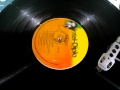 Peter Tosh - Feel No Way - Reggae