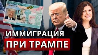 Реально и легально! Как переехать в США и получить гринкарту в 2025: способы иммиграции при Трампе