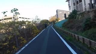 241124 1514見沼代用水東縁右岸,鳥ヶ谷戸橋 ロヂャ－ス南 有無公園