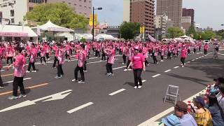 第42回ひろしまフラワーフェスティバル(2018/5/5)「イズミゆめタウンYOSAKOI連」