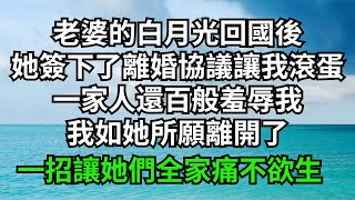 老婆的白月光回國後，她簽下了離婚協議讓我滾蛋，一家人還百般羞辱我，我如她所願離開了，一招讓她們全家痛不欲生【淺談夕陽下】#圍爐夜話#花開富貴#爽文#落日溫情#閱讀茶坊#情滿夕陽#深夜淺讀