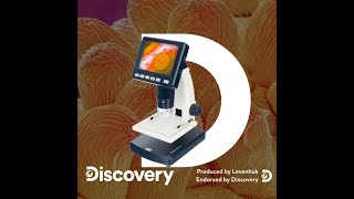 Levenhuk Discovery Artisan 128 Digital microscope Review