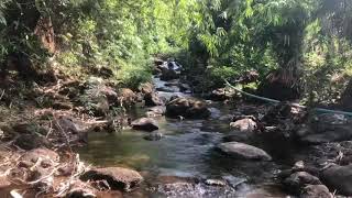 The process of making charcoal