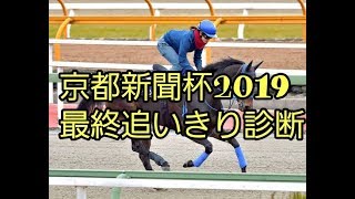 京都新聞杯2019 最終追いきり診断