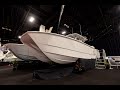 NEW Invincible 38' Catamaran Walkthrough