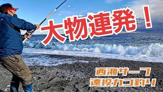 【遠投カゴ釣り】冬の西湘サーフで大物連発！！